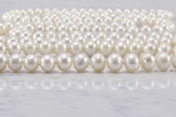 Proud Pearls new collection Essentials New Classics
