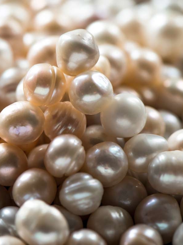 mini Matroos Afgeschaft Herkennen van echte parels | Proud Pearls® ⚪⚪⚪⚪⚪ official website The  Netherlands ❤️